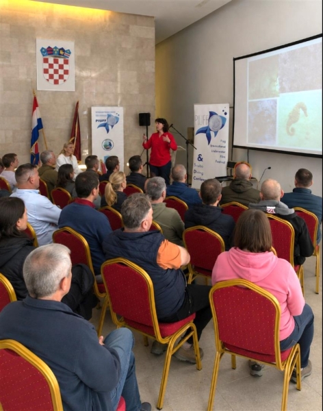 Predavanje-HVI-Angela-Bradaric